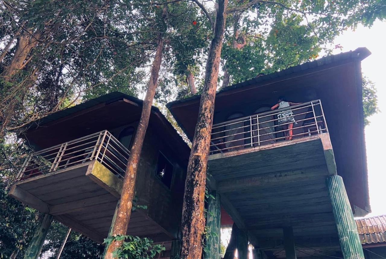 Khao Sok Jungle Huts Resort Khao Sok National Park Esterno foto